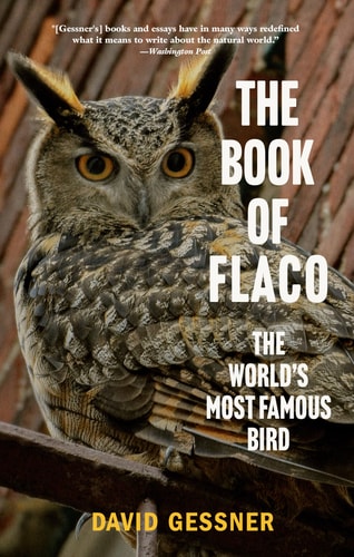 The Book of Flaco: The World's Most Famous Bird