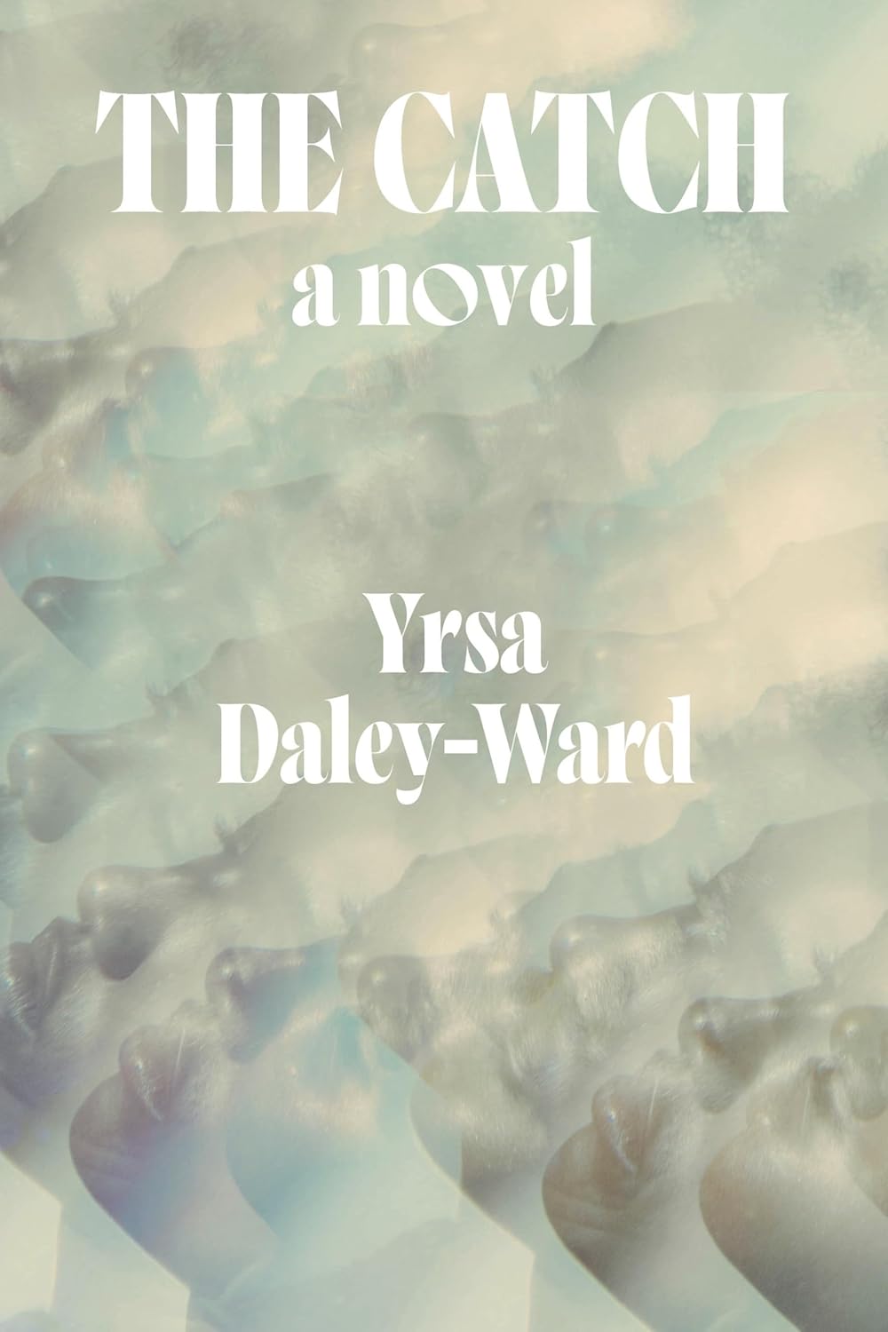 The Catch: A Novel