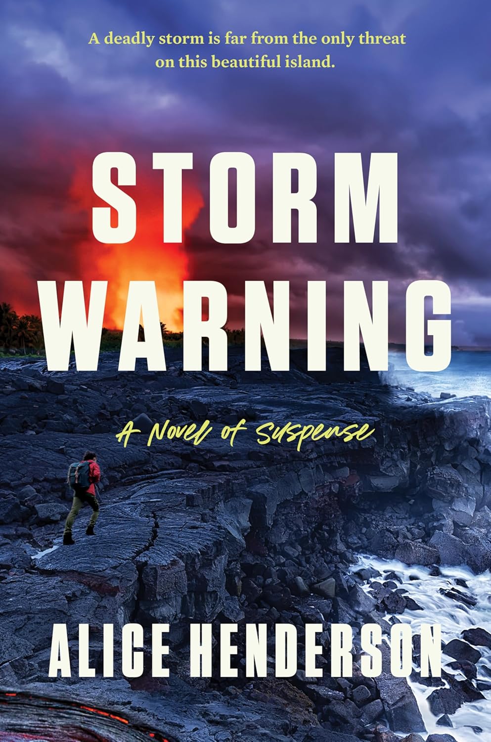 Storm Warning: A Novel of Suspense