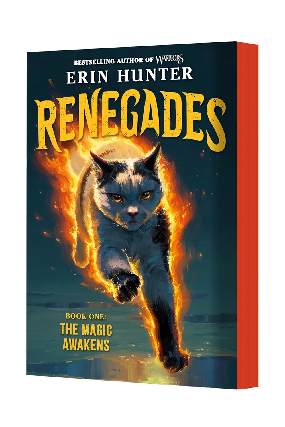 Renegades #1: The Magic Awakens