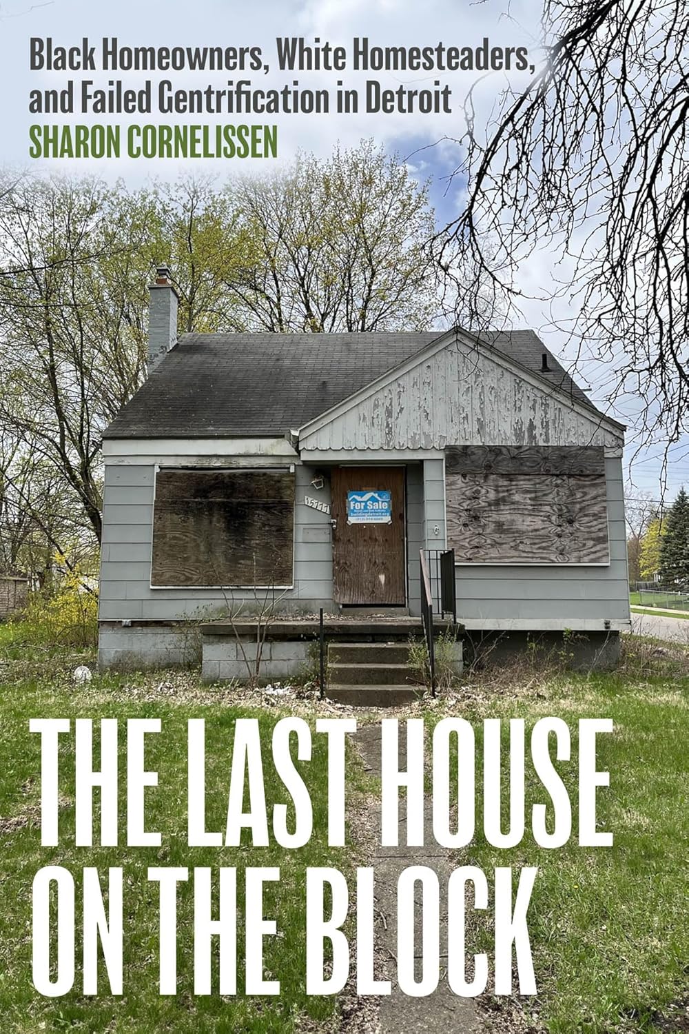 The Last House on the Block: Black Homeowners, White Homesteaders, and Failed Gentrification in Detroit