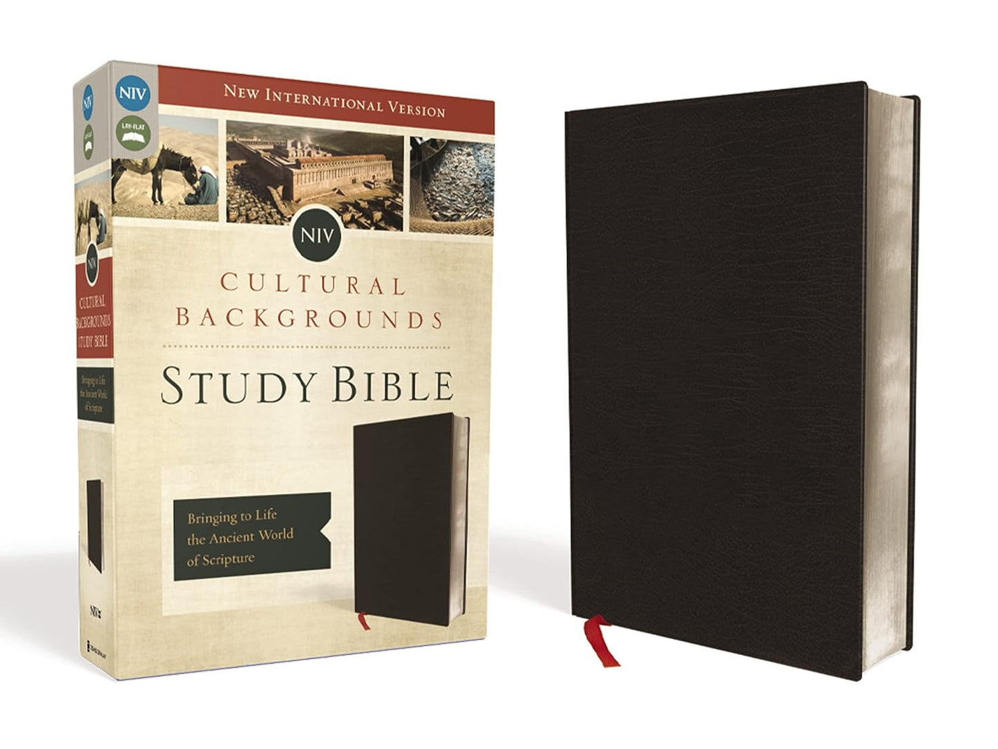 NIV, Cultural Backgrounds Study Bible, Bonded Leather, Black: Bringing to Life the Ancient World of Scripture (Special)