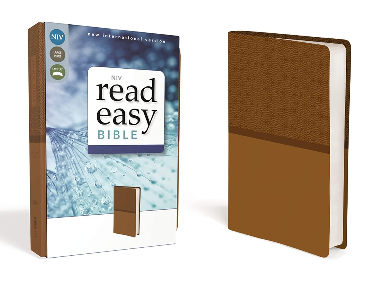 NIV Readeasy Bible (Special)