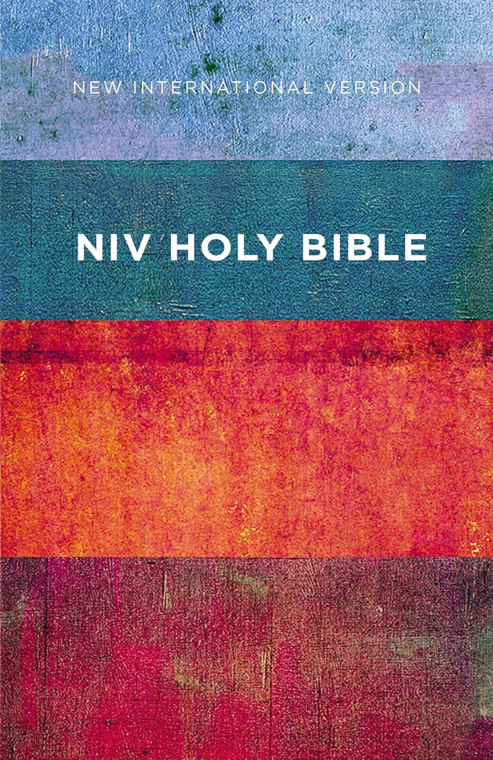 NIV, Value Outreach Bible, Paperback (Special)