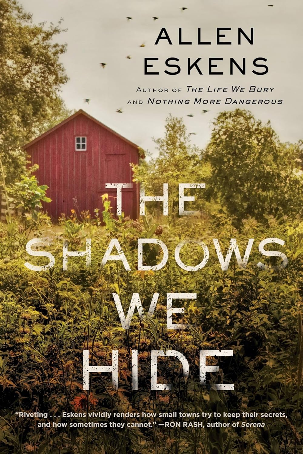 Shadows We Hide: The Highly Acclaimed Sequel to the Life We Bury