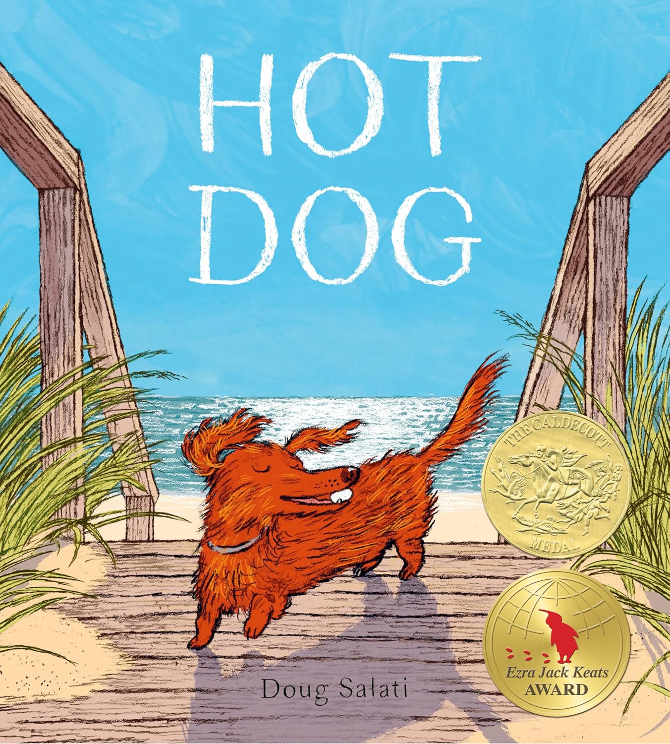 Hot Dog: (Winner of the 2023 Caldecott Medal)