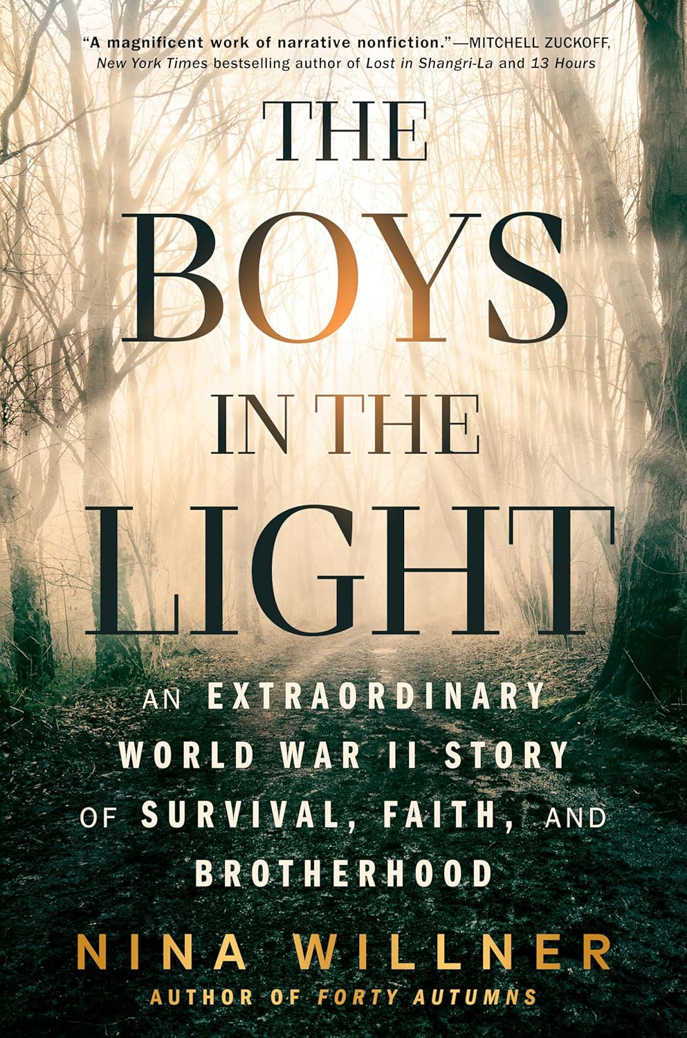 Boys in the Light: An Extraordinary World War II Story of Survival, Faith, and Brotherhood