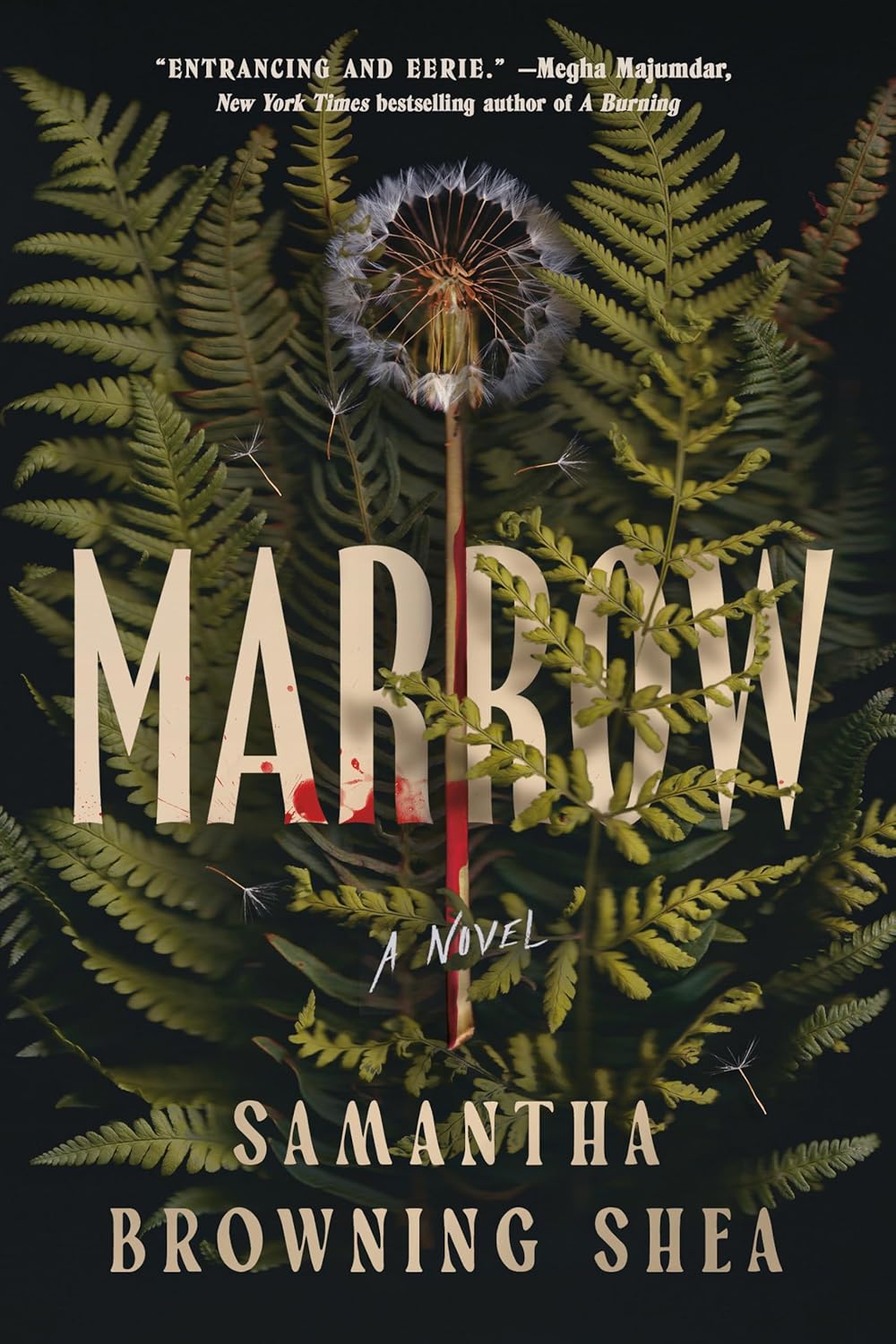 Marrow