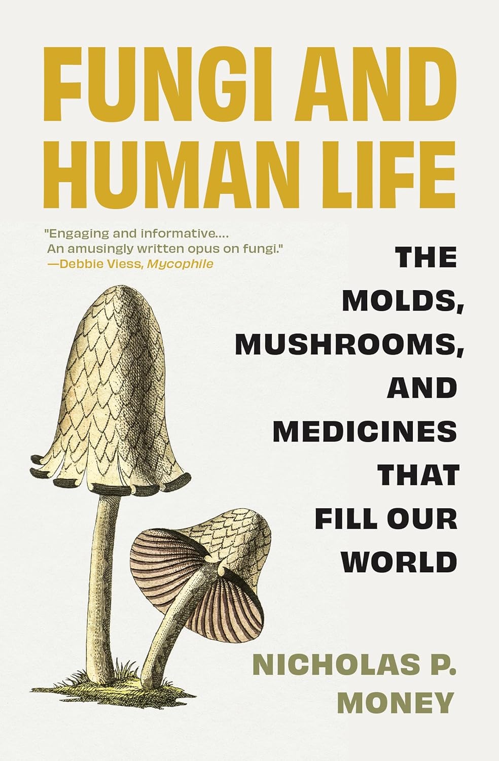 Fungi and Human Life: The Molds, Mushrooms, and Medicines That Fill Our World