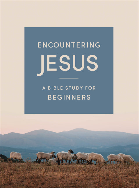 Encountering Jesus: A Bible Study for Beginners