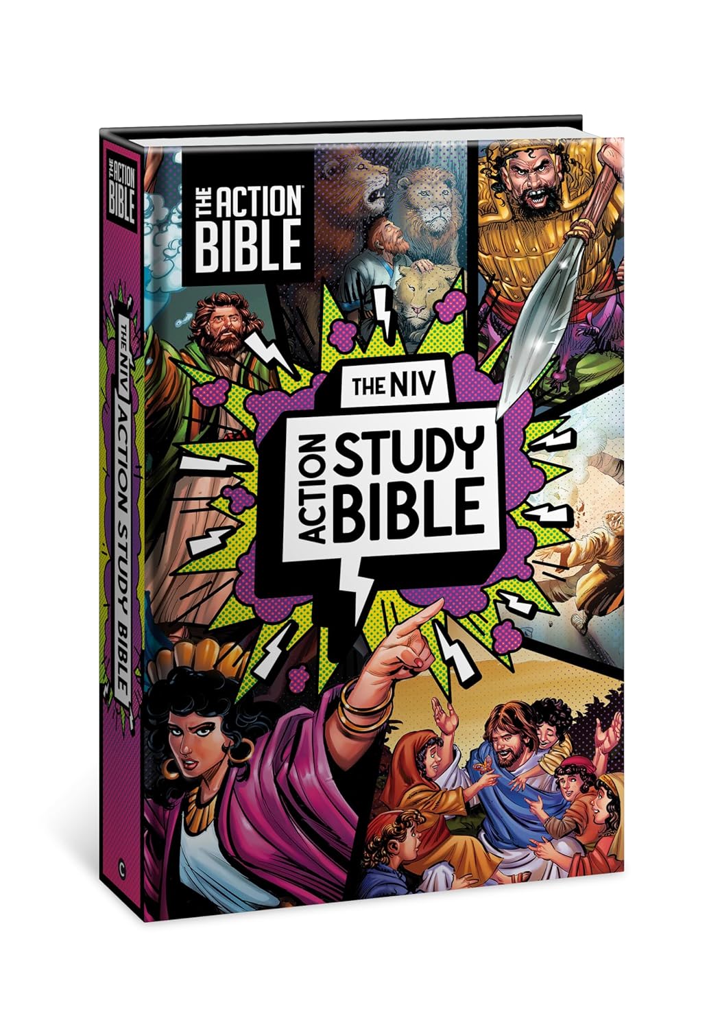 The NIV Action Study Bible, Hardcover, Full Color