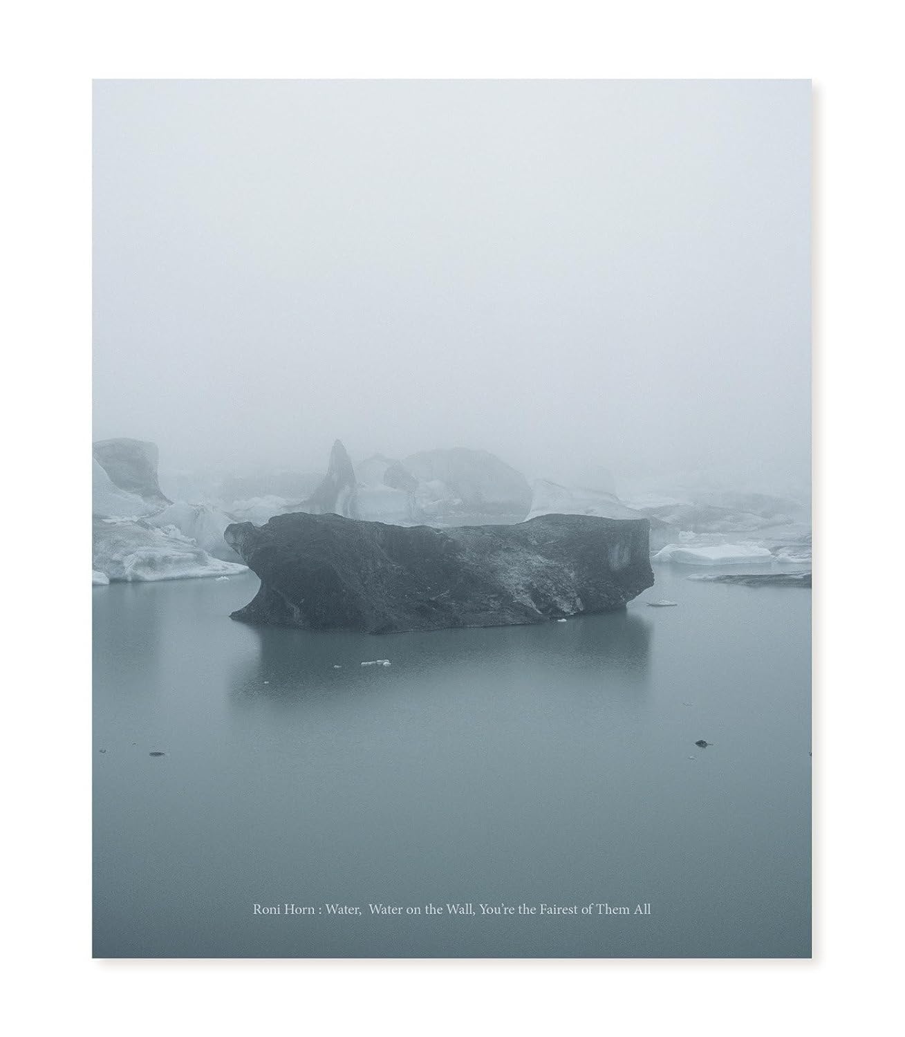 Roni Horn: Water Water on the Wall, You're the Fairest of Them All