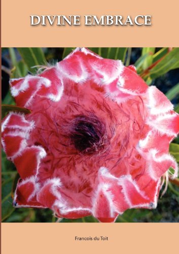 DIVINE EMBRACE New, 30 Chapter, 458page Revised Edition