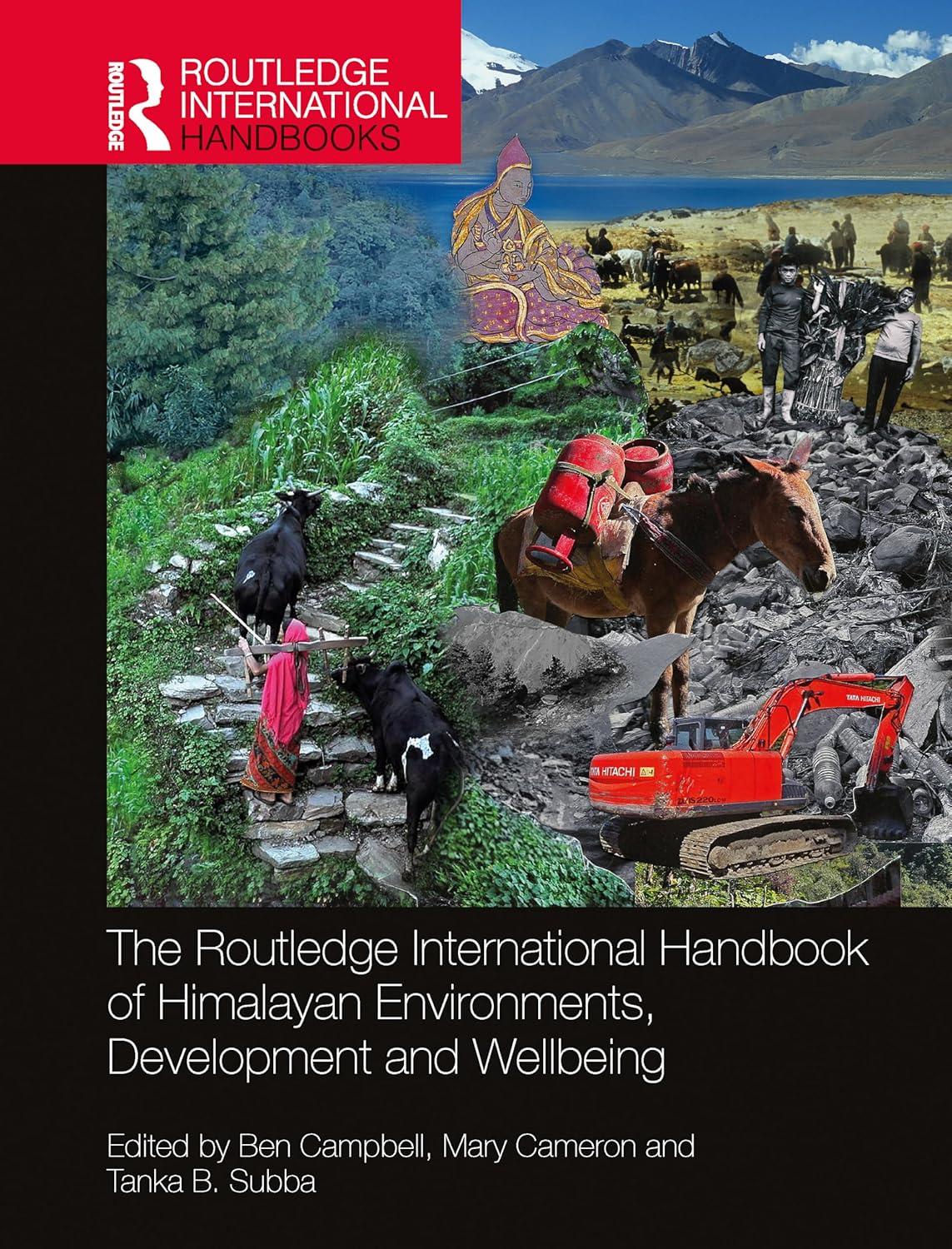 Routledge International Handbook of Himalayan Environments, Development and Wellbeing