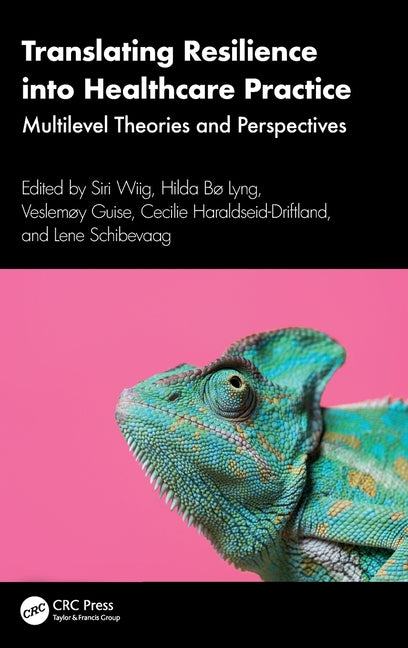 Translating Resilience Into Healthcare Practice: Multilevel Theories and Perspectives
