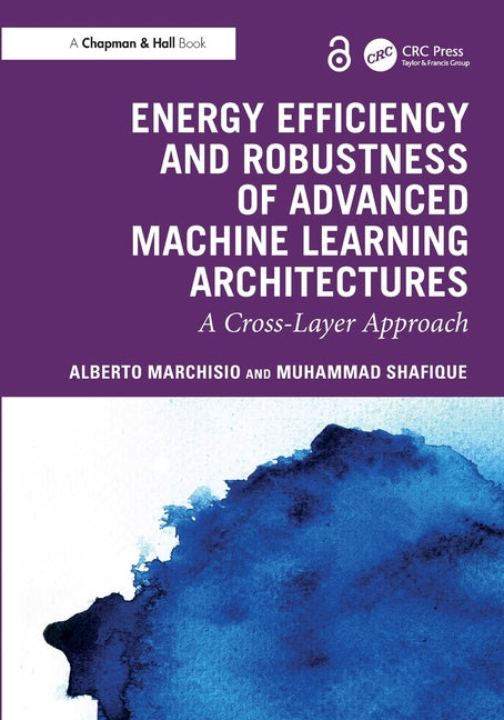 Energy Efficiency and Robustness of Advanced Machine Learning Architectures: A Cross-Layer Approach