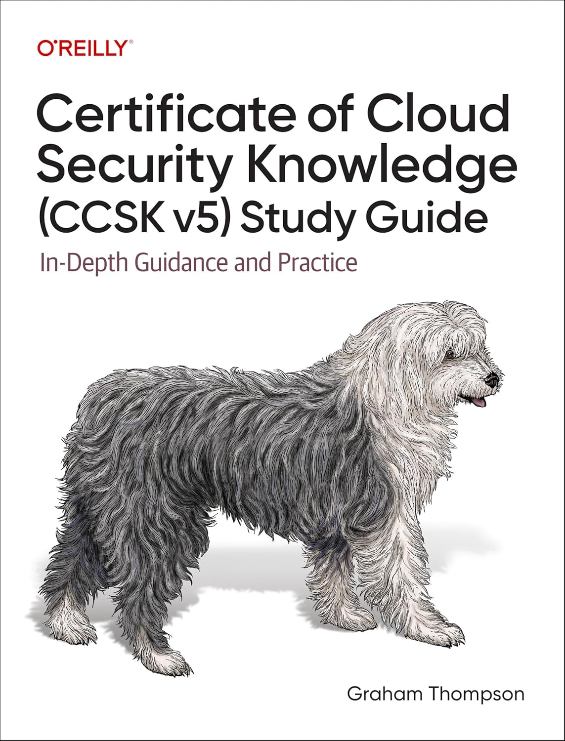 Certificate of Cloud Security Knowledge (Ccsk V5) Study Guide: In-Depth Guidance and Practice