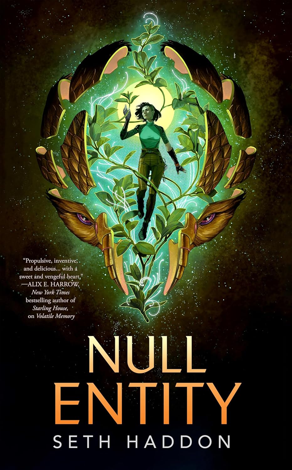 Null Entity
