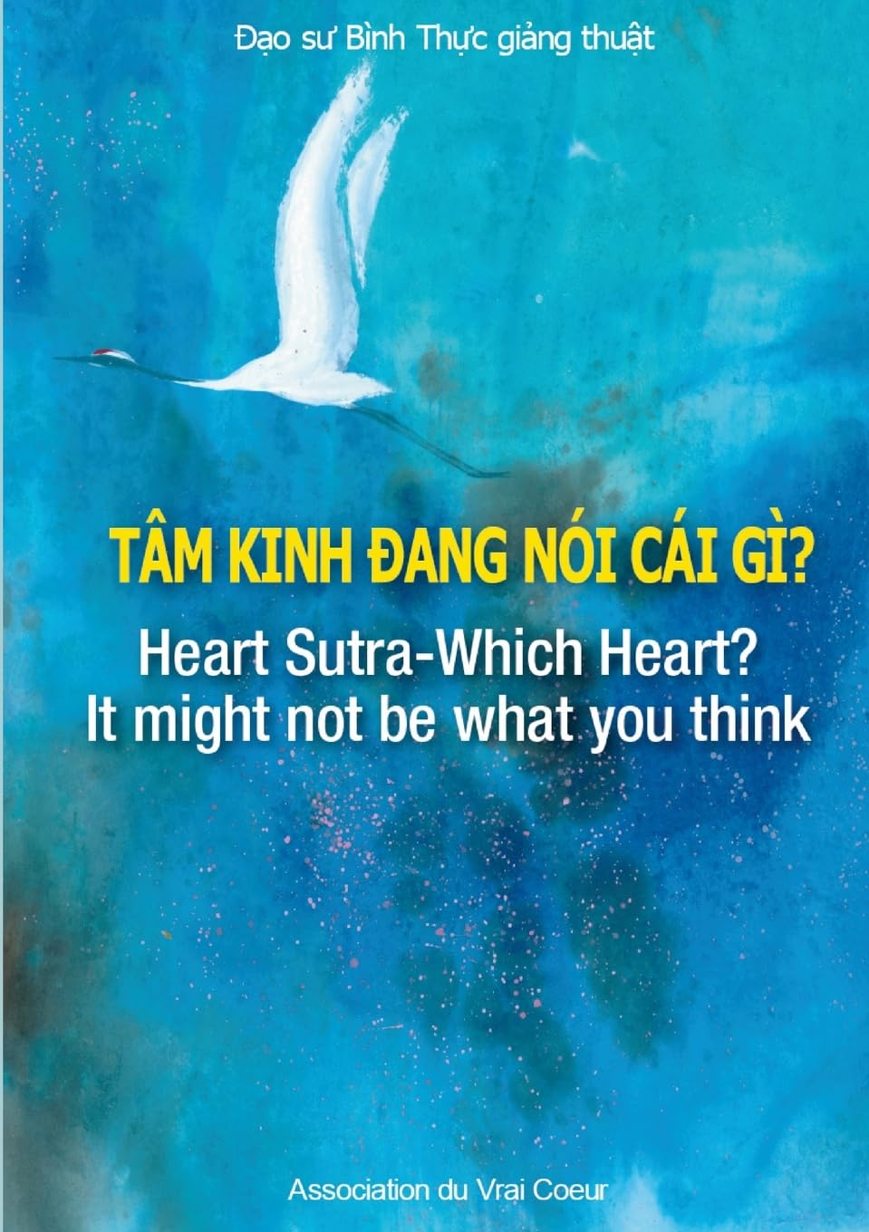 Tam Kinh Dang Noi Cai Gi? Heart Sutra-Which Heart? It might not be what you think