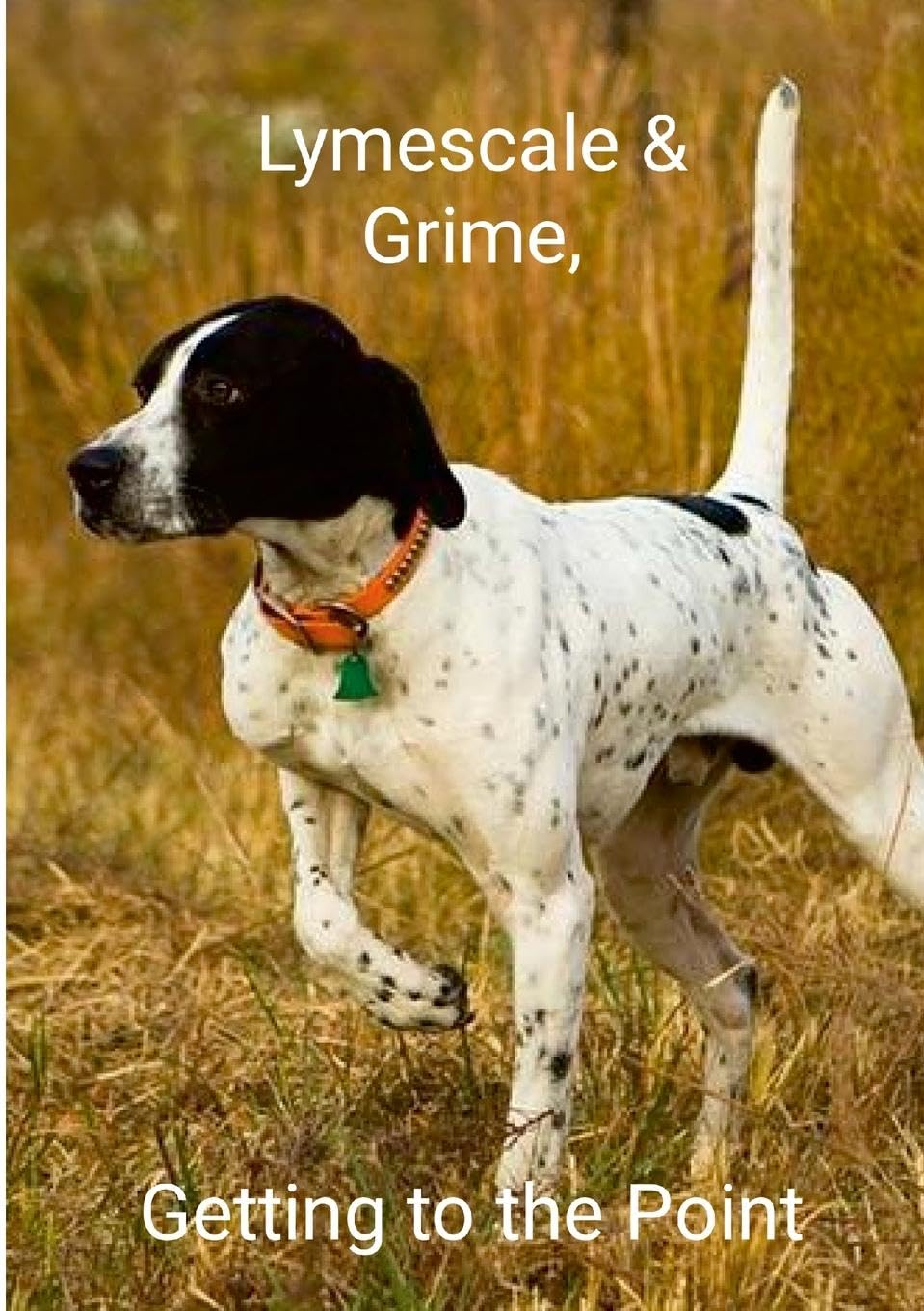 Lymescale & Grime, Getting to the Point Lymescale & Grime Book 6