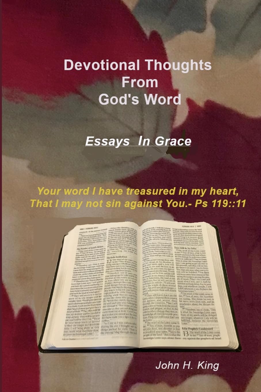 Devotional Thoughts from God's Word Essays in Grace
