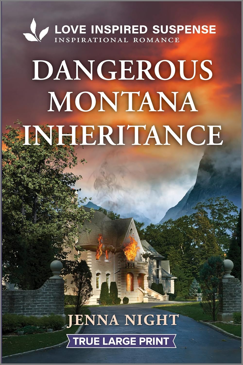 Dangerous Montana Inheritance (Original)