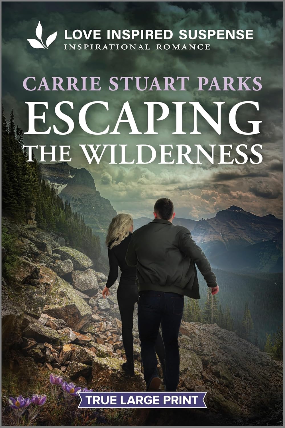 Escaping the Wilderness (Original)
