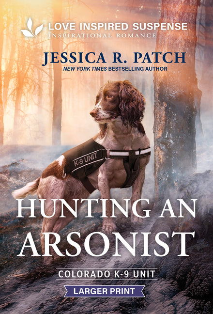 Hunting an Arsonist (Original)