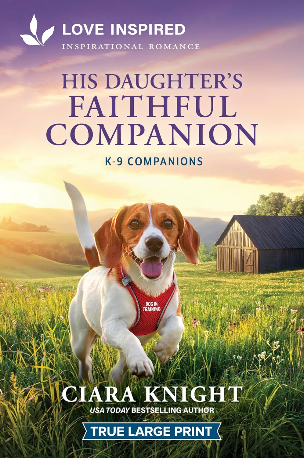 His Daughter's Faithful Companion: An Uplifting Inspirational Romance (Original)