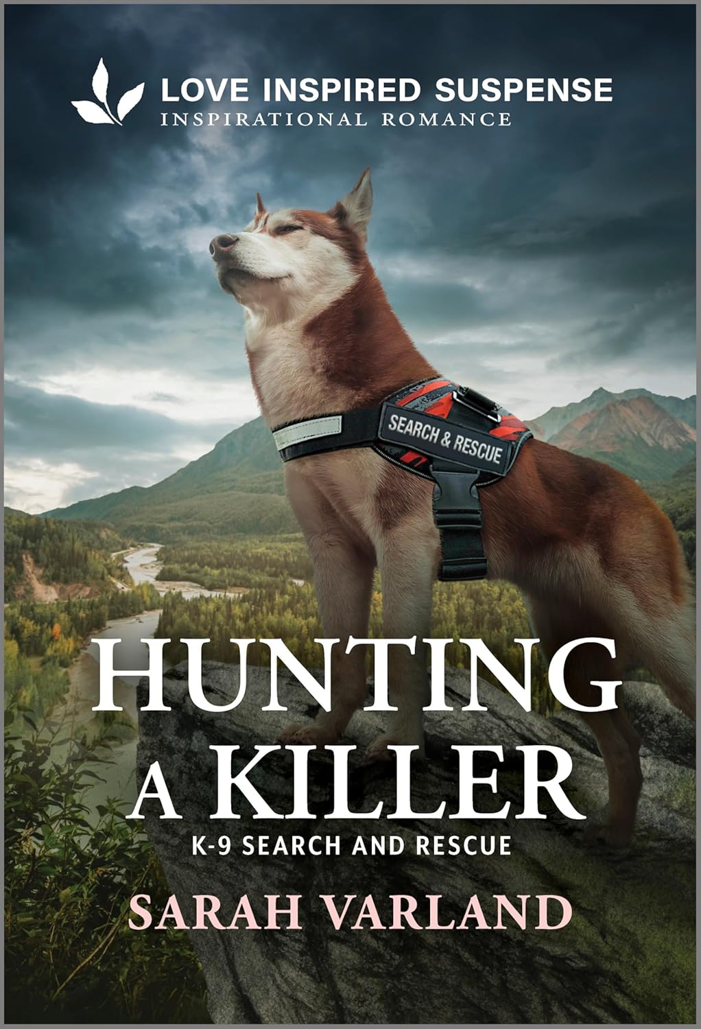 Hunting a Killer (Original)