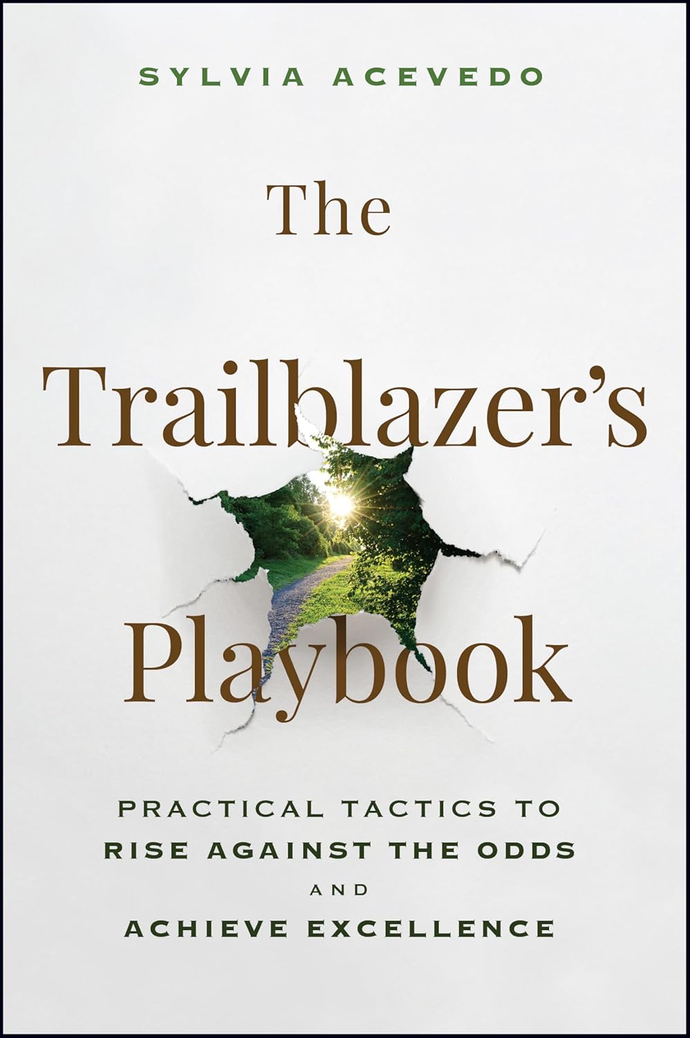 Trailblazer's Playbook: Practical Tactics to Rise Against the Odds and Achieve Excellence