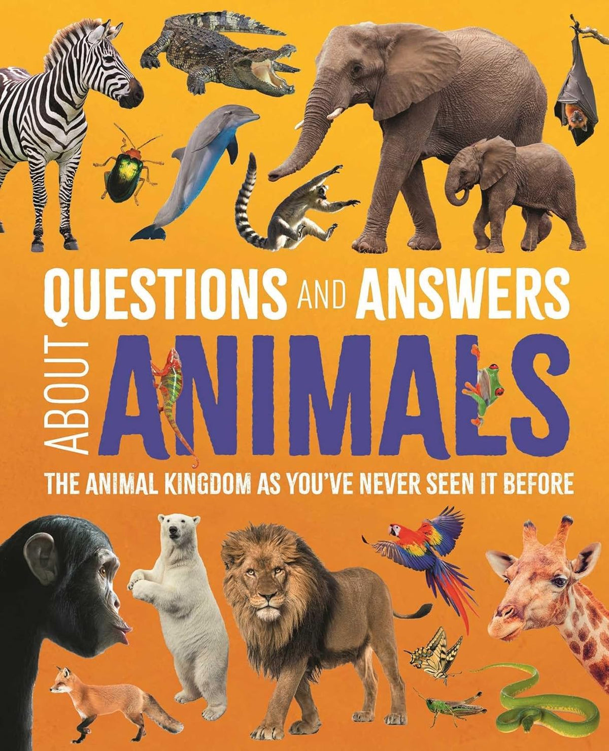 Questions and Answers about Animals: The Animal Kingdom as You've Never Seen It Before