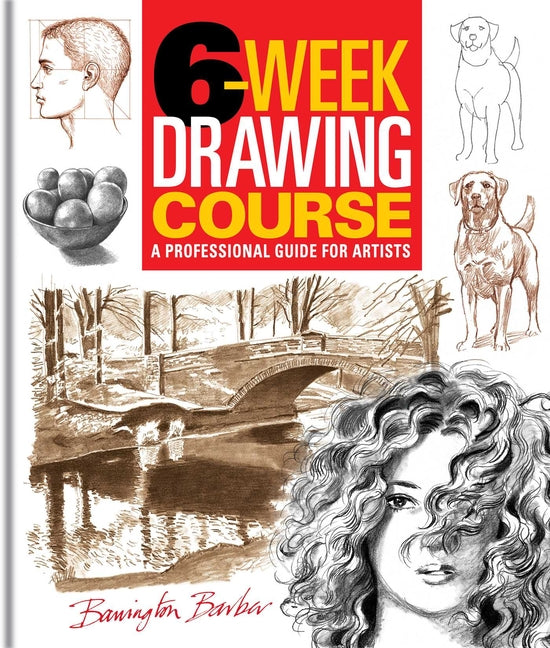6-Week Drawing Course: A Professional Guide for Artists