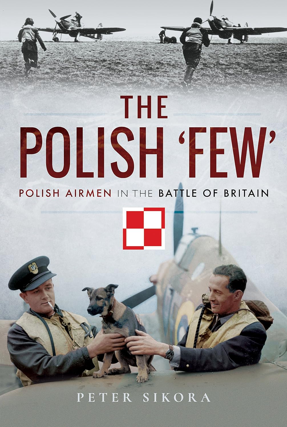Polish 'Few' Polish Airmen in the Battle of Britain