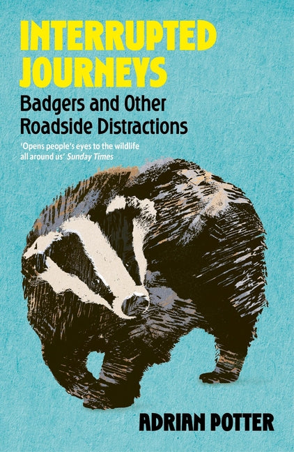 Interrupted Journeys: Badgers and Other Roadside Distractions