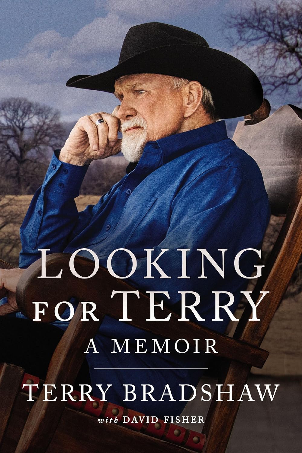 Looking for Terry: A Memoir
