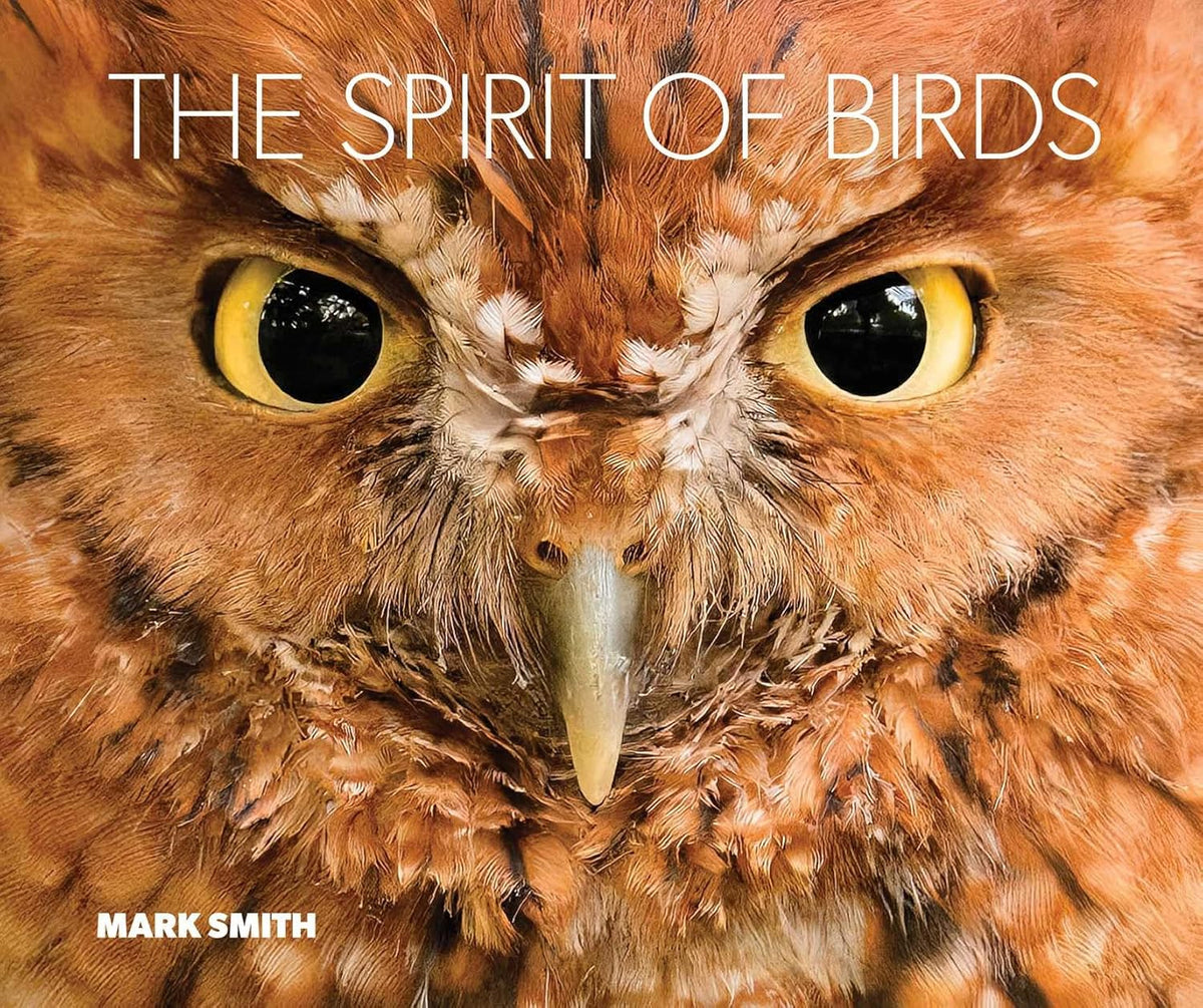 The Spirit of Birds