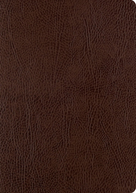 ESV Single Column Journaling Bible, Large Print (Mocha)