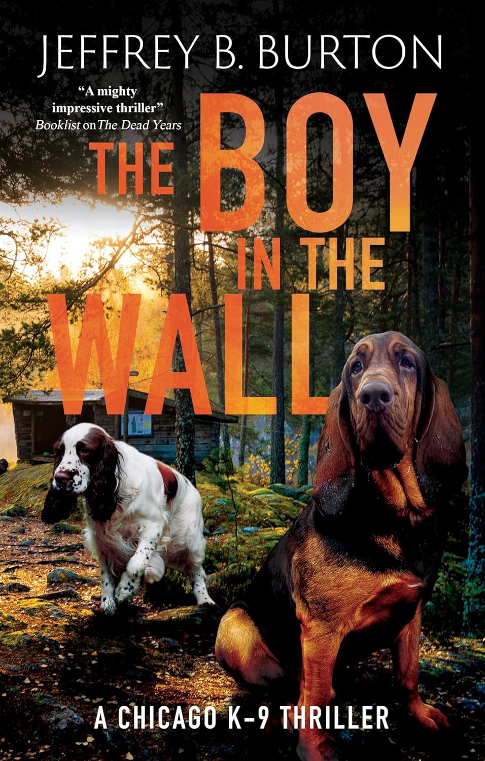 The Boy in the Wall (Main)