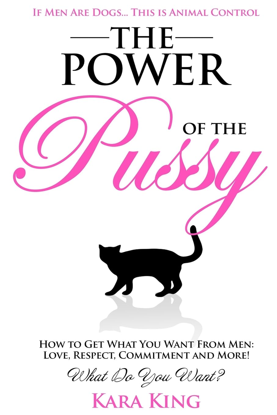 Power of the Pussy: Get What You Want From Men: Love, Respect, Commitment and More!