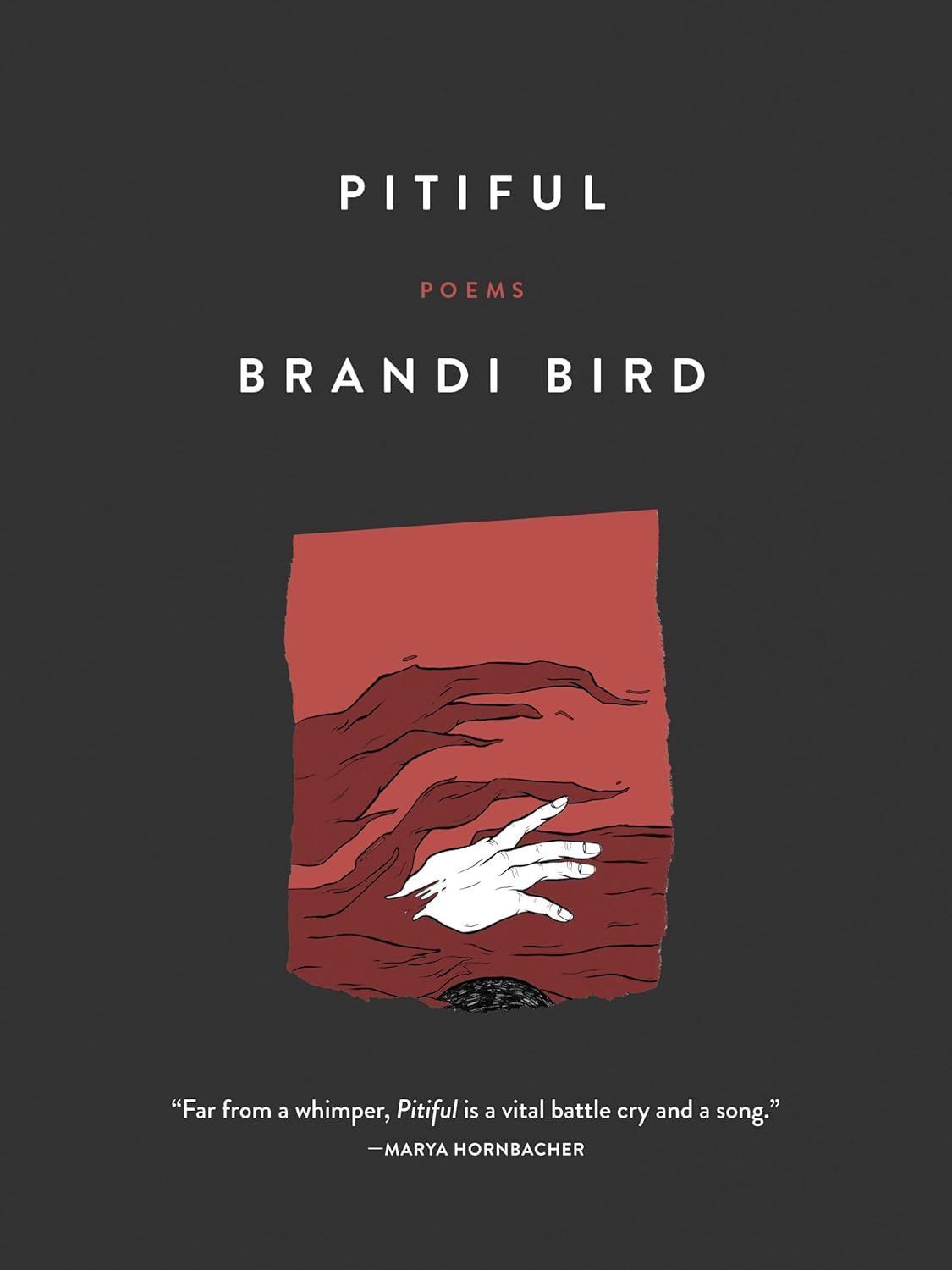 Pitiful: Poems