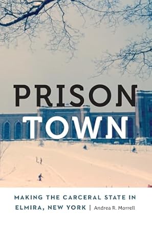 Prison Town Making the Carceral State in Elmira, New York