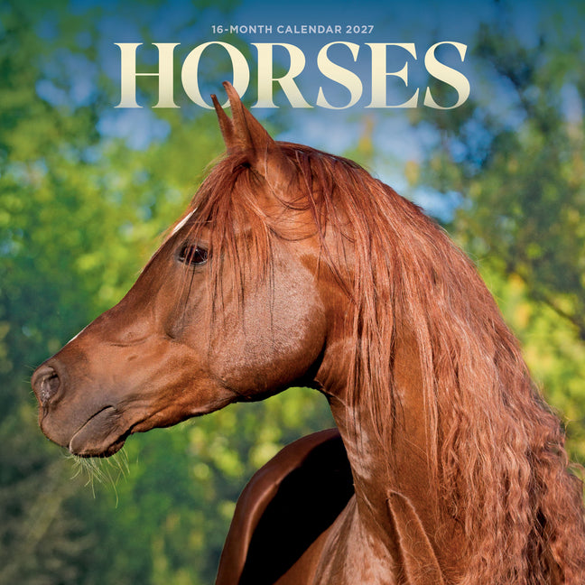 Horses 2027 Mini Wall Calendar