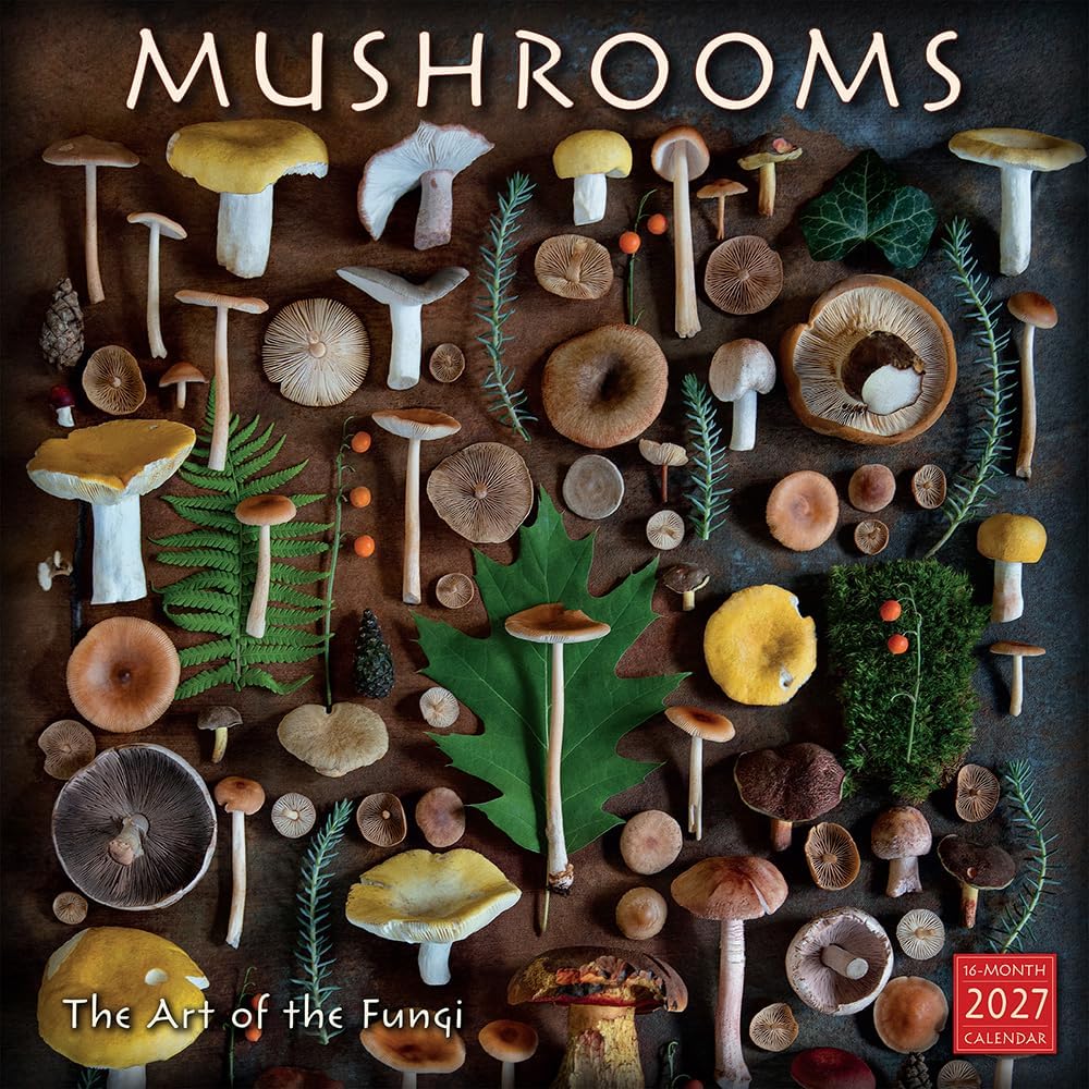Mushrooms: The Art of the Fungi