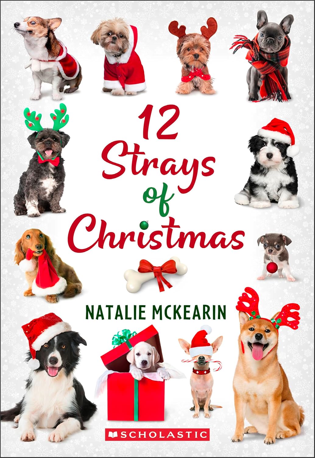 12 Strays of Christmas: A Wish Novel