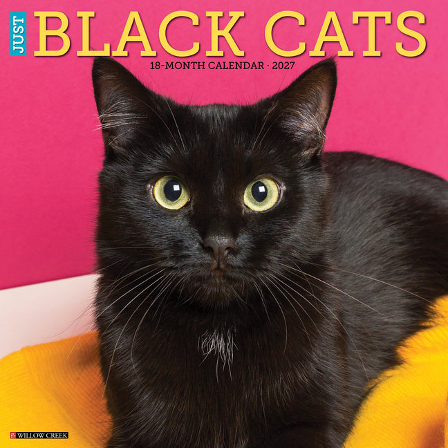 Black Cats 2027 12 X 12 Wall Calendar