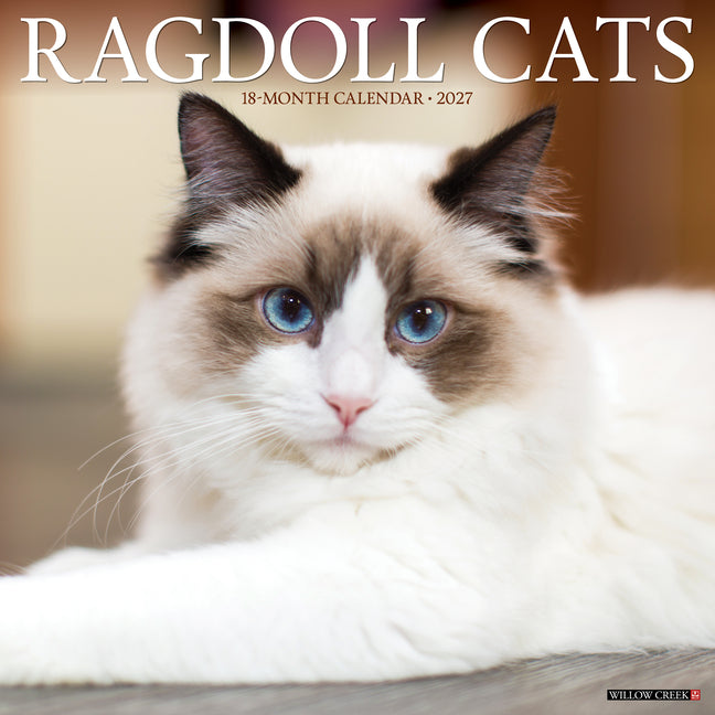 Ragdoll Cats 2027 12 X 12 Wall Calendar