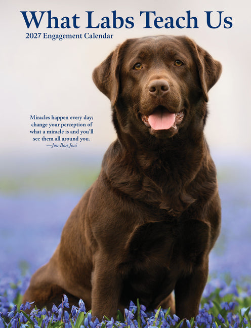 What Labs Teach Us 2027 6.5 X 8.5 Engagement Calendar