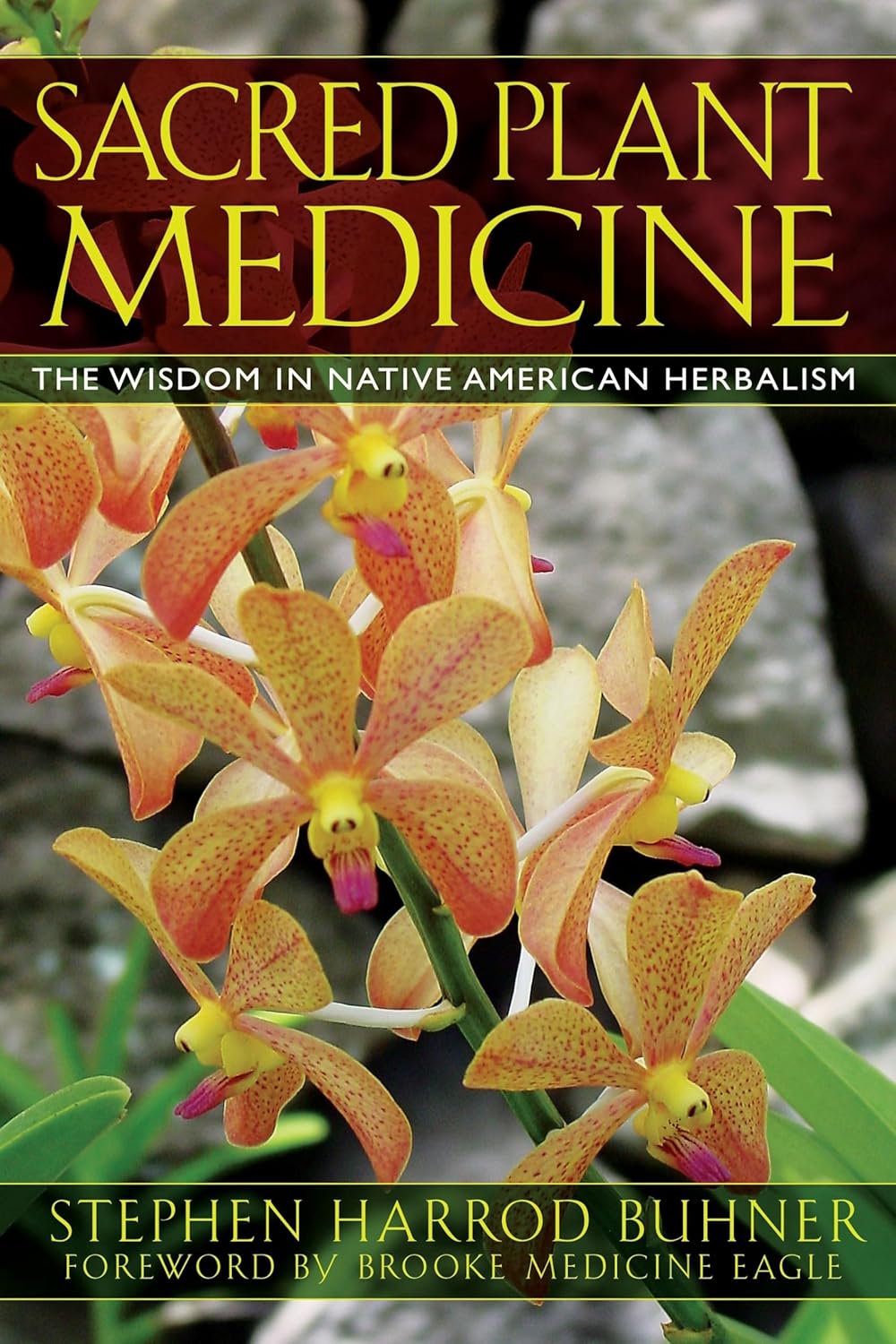 Sacred Plant Medicine: The Wisdom in Native American Herbalism (Edition, New)