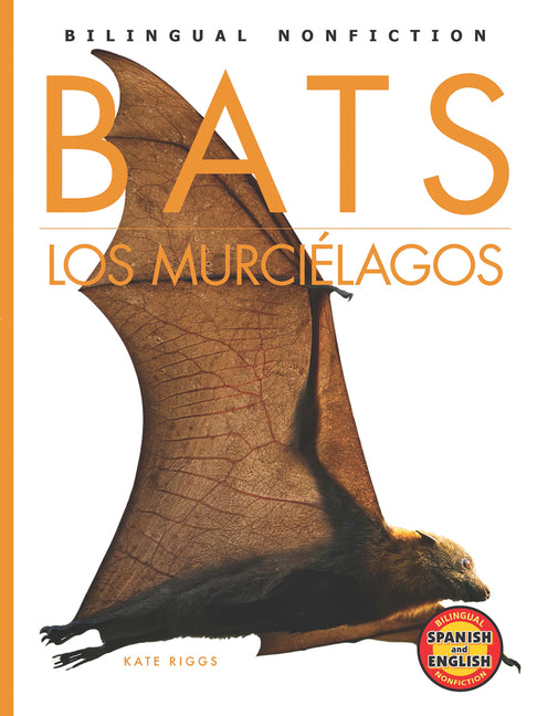 Bats / Los Murcielagos